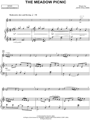 Collection: The Meadow Picnic - Tenor Saxophone & Piano