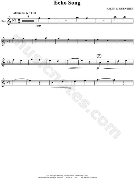 Collection: Echo Song
