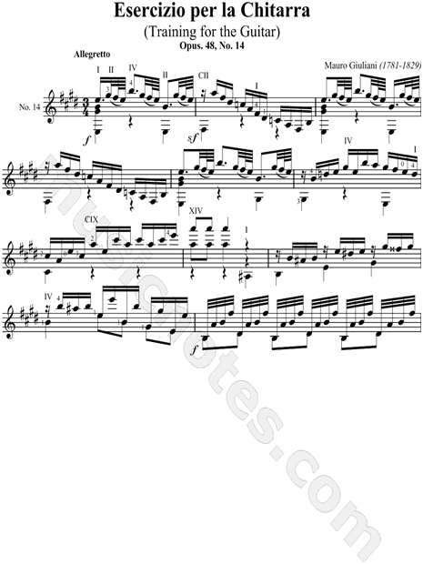 Esercizio Per La Chitarra No. 14