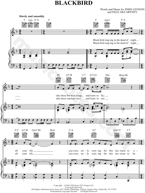 Blackbird