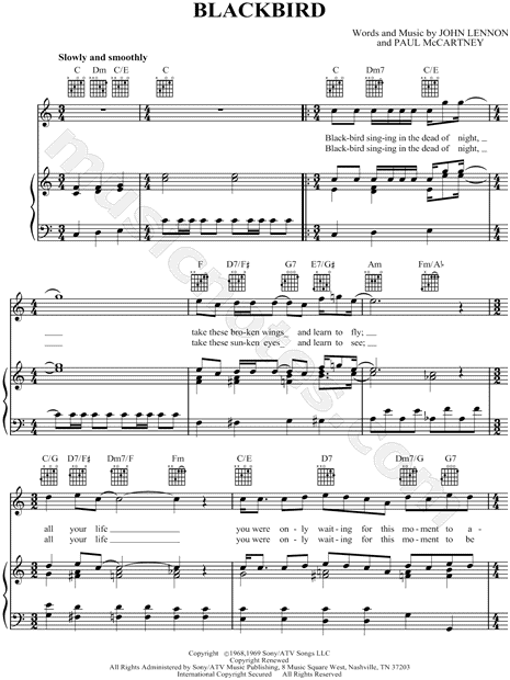 Blackbird