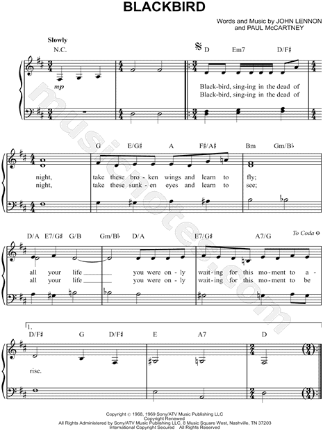 Blackbird