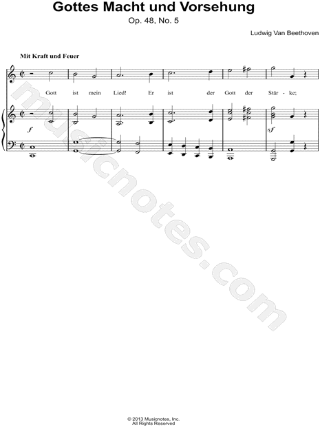 Gottes Macht Und Vorsehung