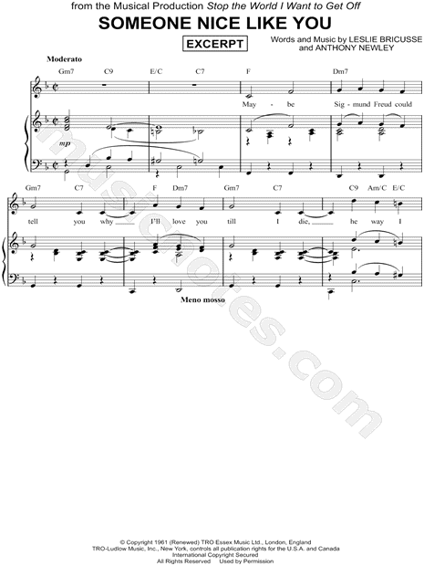 Someone Nice Like You [Excerpt]
