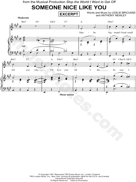 Someone Nice Like You [Excerpt]