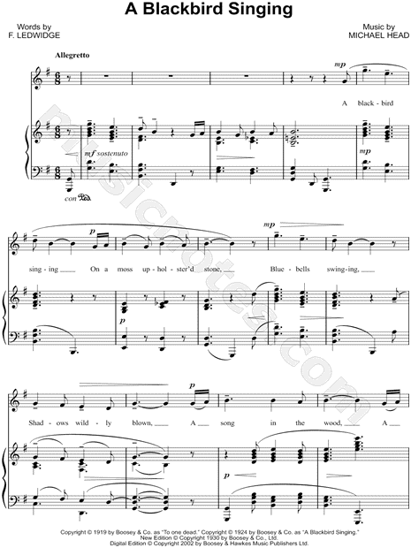 A Blackbird Singing