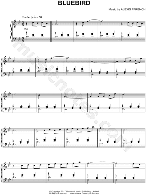 Bluebird (Solo Piano Version)