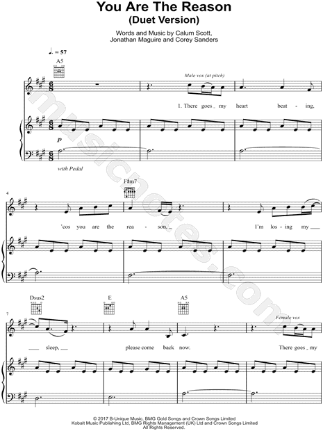 You Are the Reason (Duet Version)
