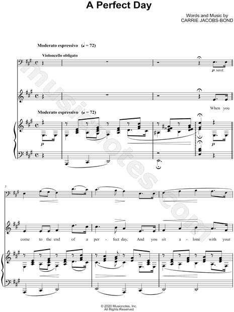 A Perfect Day - Voice, Cello & Piano