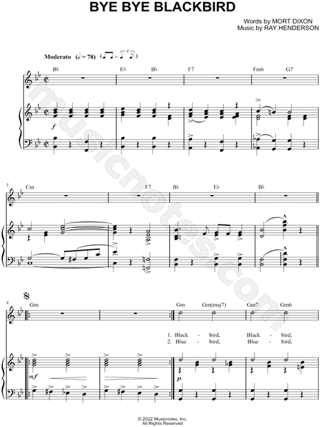 Bye Bye Blackbird