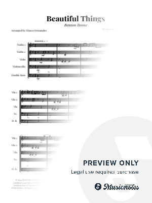 Beautiful Things | STRING QUINTET