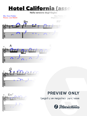 The Eagles - Hotel California (guitar solo)