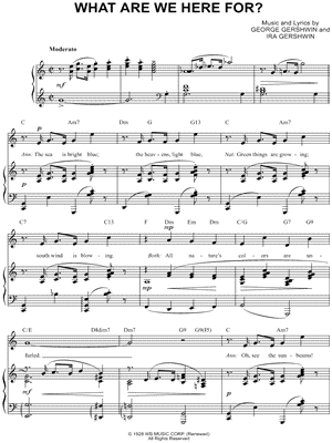 What Are We Here for?