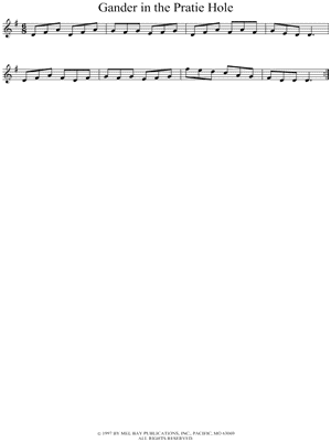 Gander In the Pratie Hole