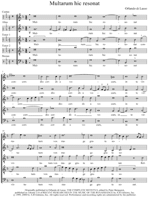 Multarum hic resonat