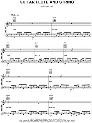 Guitar Flute and String