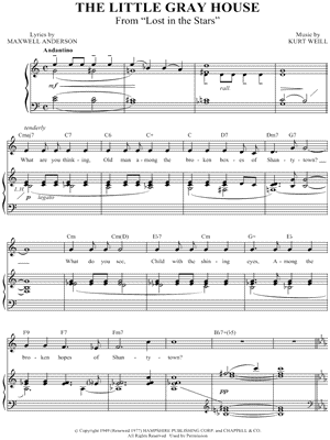 The Little Gray House