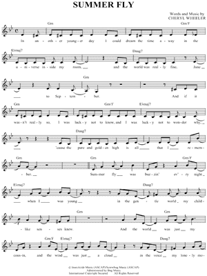 Summer Fly