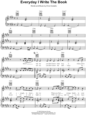 Everyday I Write the Book