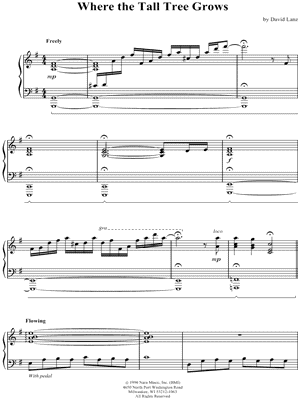 Where the Tall Tree Grows