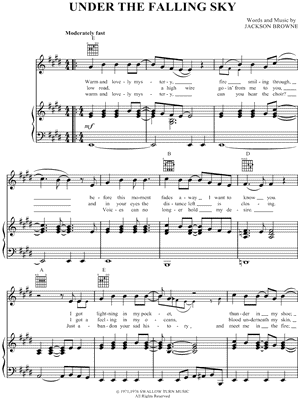 Under the Falling Sky