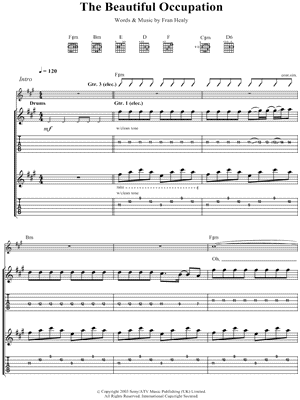 The Beautiful Occupation