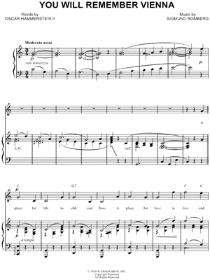 You Will Remember Vienna