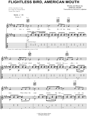 Flightless Bird, American Mouth