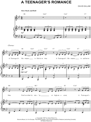 A Teenager's Romance