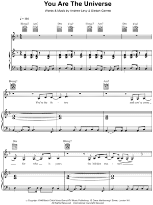 You Are the Universe