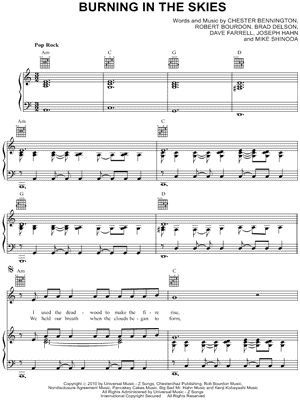 Burning In the Skies