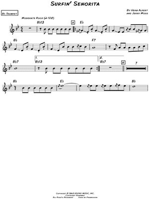 Surfin' Señorita