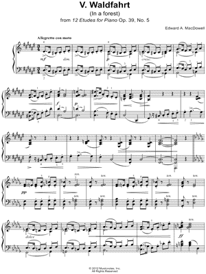 Twelve Etudes for Piano, Op. 39: No. V: Waldfahrt