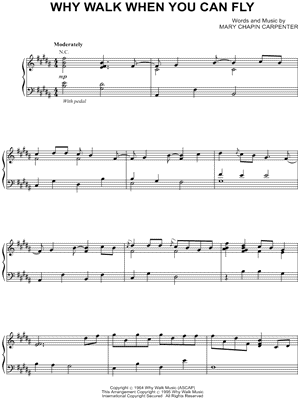 Why Walk When You Can Fly