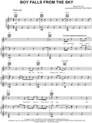 Boy Falls From the Sky