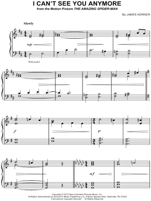 I Can't See You Anymore