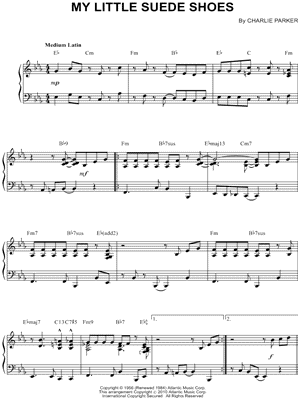 My Little Suede Shoes