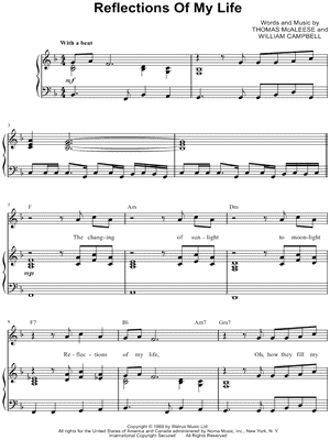 Reflections of My Life