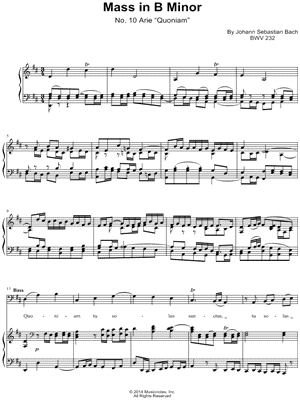 Mass in B Minor: I. Kyrie and Gloria: 11. Quoniam