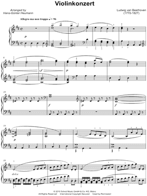 Violin Concerto in D Major, Op. 61: I. Allegro ma non troppo (Excerpt)