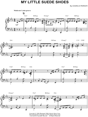 My Little Suede Shoes