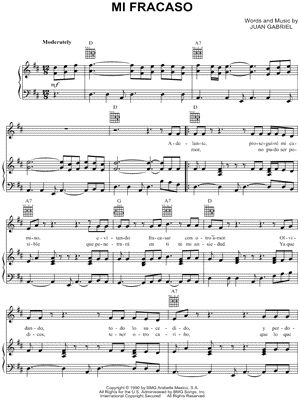 Mi Fracaso
