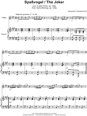 The Joker - Violin & Piano