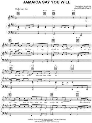 Jamaica Say You Will