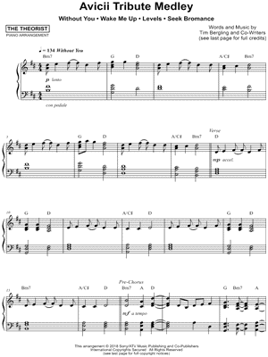 Avicii Tribute Medley