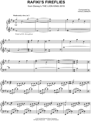Rafiki's Fireflies