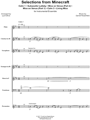 Selections from Minecraft