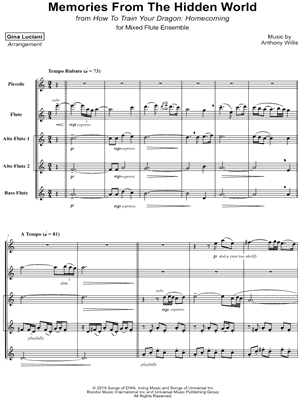 Memories from the Hidden World (from How to Train Your Dragon: Homecoming) - Mixed Flute Ensemble