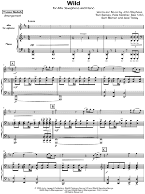 Wild - Alto Saxophone & Piano