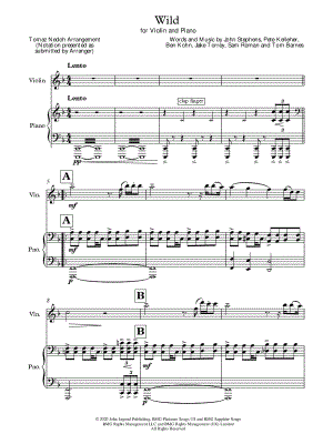 Wild - Violin & Piano